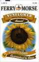 Sunflower Amer Gt Seeds