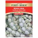 Bean - Lima Fordhook Bush #242