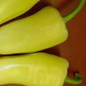 Sweet Banana Pepper Seeds