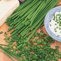 Chives Sow Easy Seed