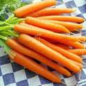 Carrot Danvers #126 Sow Easy Seed