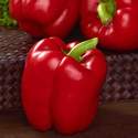 Pepper Quadrato D Asti Rosso Seed