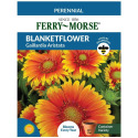 Blanketflower Gaillardia