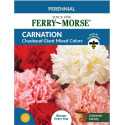 Carnation Chabaud Giant Mixed Colors