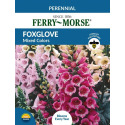 Foxglove Mixed Color
