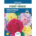 Hollyhock Chaters Double