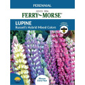 Lupine Russell's Hybrid Mixed Color