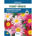 Painted Daisy Single Mixed Color