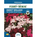 Sweet William Tall Double Mixed Color