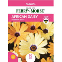 African Daisy Mixed Color