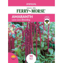 Amaranth Love Lies Bleeding
