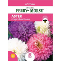 Aster Crego Mixed Color