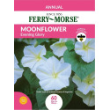 Moonflower Evening Glory