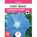 Morning Glory Heavenly Blue