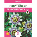 Passion Flower