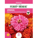 Zinnia Giant Cactus Flowered