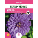 Zinnia Giant Double Violet Queen