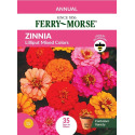 Zinnia Lilliput Mixed Color