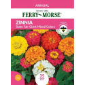 Zinnia State Fair Giant Mixed Color