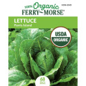 Lettuce Parris Island Organic
