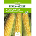 Sweet Corn Early Golden Bantam