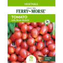 Tomato Jelly Bean Hybrid