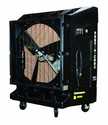 Portable Evaporative Cooler Two Speed 48 In