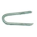 Staple Fence Hot Dipped Galv 1-Inch 1-Pound