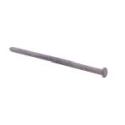 3/8-Inch X 8-Inch Hot-Dipped Outdoor Construction Spike Nails 5-Pound Pack