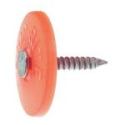 13/4 Round Plastic Cap Nails 2m