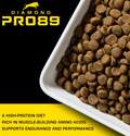 Diamond Pet Foods DP89 