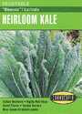 Dinosaur Lacinato Heirloom Kale Seeds