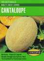 Hale's Best Jumbo Cantaloupe Seeds