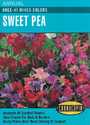 Knee-Hi Mixed Colors Sweet Pea Seeds