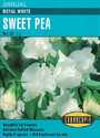 Royal White Sweet Pea Seeds