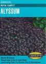 Royal Carpet Alyssum Seeds