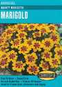 Dainty Marietta Marigold Seeds