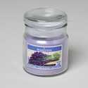 3-Ounce Lavender Bouquet Apothecary Jar Candle With Lid