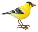 Goldfinch Songbird Decor