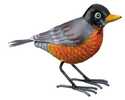 Robin Songbird Decor