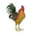 15-Inch Napa Rooster Decor