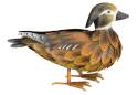 Standing Female Wood Duck Statue