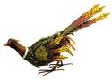 Fall Pheasant Down