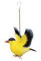 7.75 x 11.25-Inch Gold Finch Bird Bouncie Garden Decor