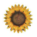 Solar Sunflower Wall Decor