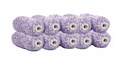 4-Inch E-Volution 3/8-Inch Mini Roller Cover, 10-Pack