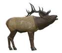 1/3-Scale Woodland Elk 3d Big Game Target