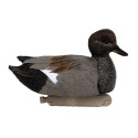 Cupped Waterfowl CU2568 
