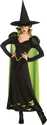 Adult Wicked Witch Of The West Costume