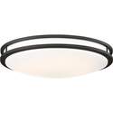 24-Inch Glamour LED Ceiling Fixture
